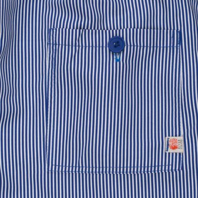 Blue stripe swim shorts