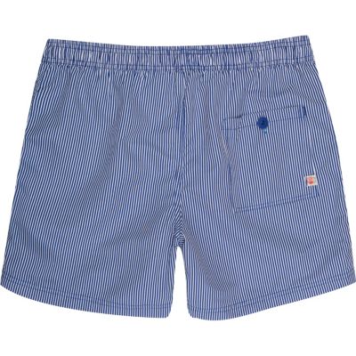 Blue stripe swim shorts