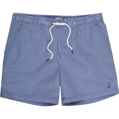 Blue stripe swim shorts