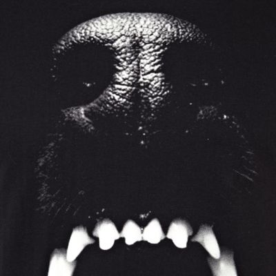 Black dog bite print t-shirt
