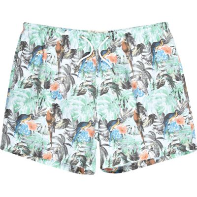 Green parrot print swim shorts