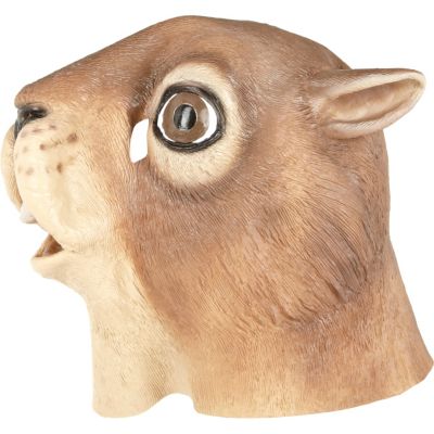 Squirrel novelty head mask