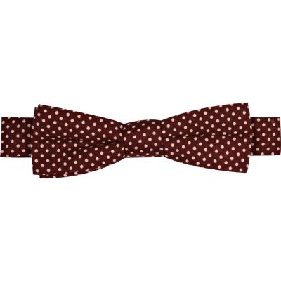 Boys purple polka dot bow tie