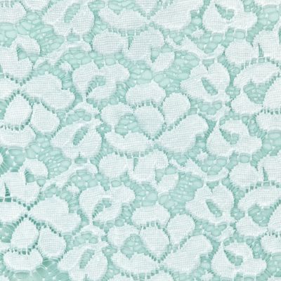 Mint green lace bodycon dress