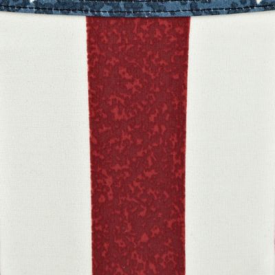 Blue stars and stripes print bikini bottoms