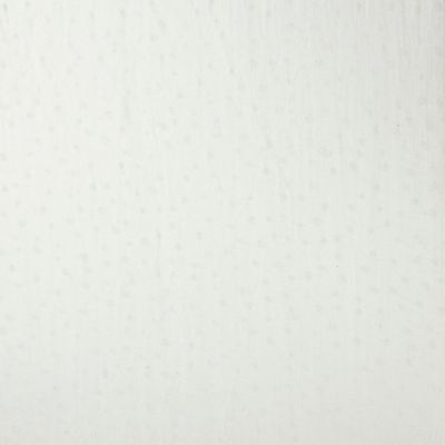 Cream lightweight long scarf