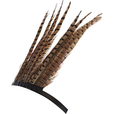 Brown feather crown head band