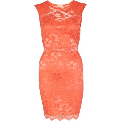 Coral lace panelled bodycon dress