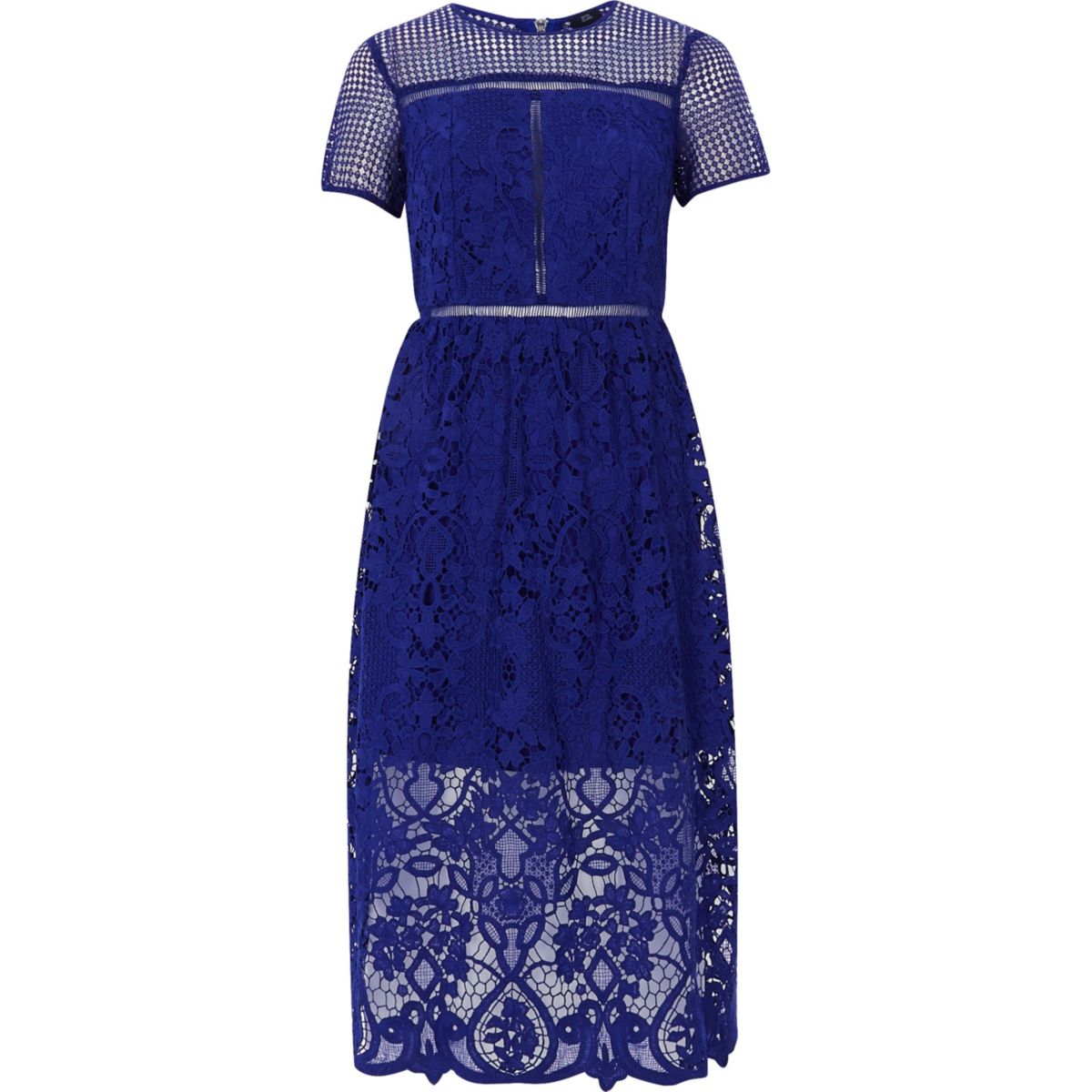 Bright blue floral lace waisted midi dress Dresses Sale women