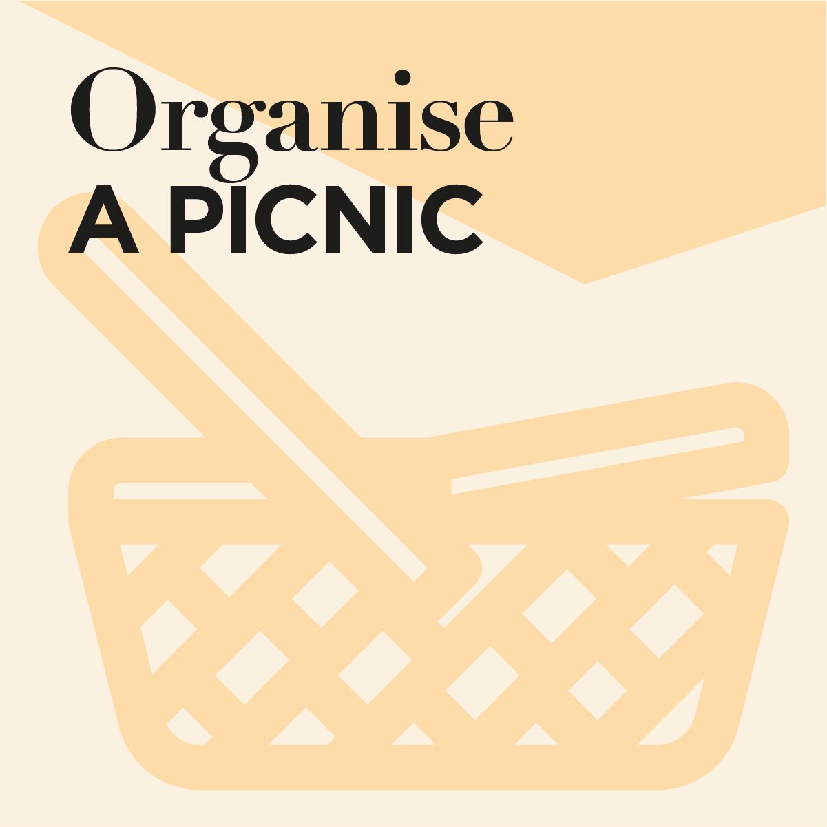 Organise a picnic